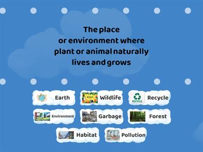 Environment Vocab Games