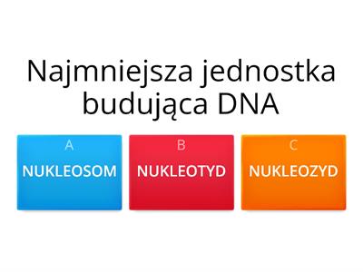  DNA