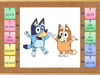 Die Körperteile mit Bluey und Bingo