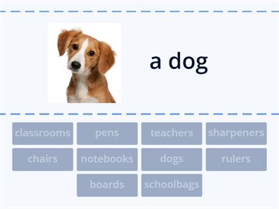 Starlight 3 (Round up) Plural number