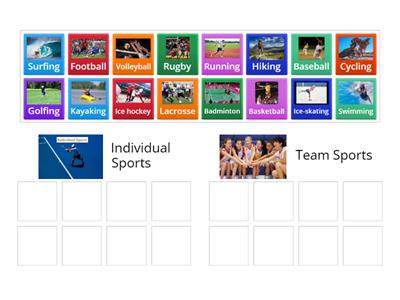 Kinds of sport ( Individual & Team Sports)