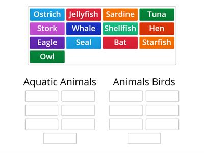 05-06_Animals_Aquatics+Birds