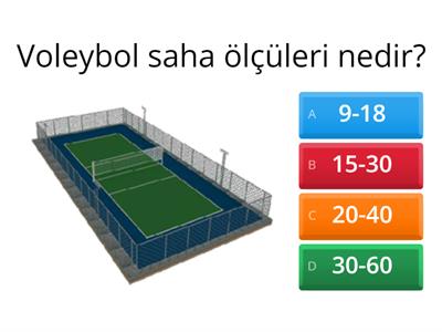 Voleybol