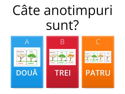 Concurs „Clic rapid!” - Domeniul Știință- Cunoșterea mediului / Activitate matematică NIVELUL II