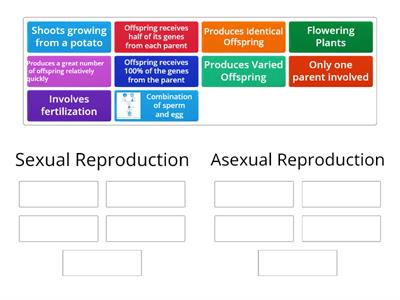 (Year 8) Sexual and Asexual Reproduction