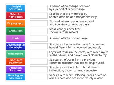 Evidence of Evolution Vocab