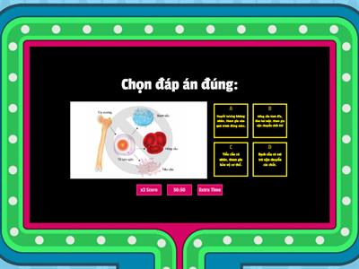 BÀI 30: MÁU VÀ HỆ TUẦN HOÀN Ở NGƯỜI - KHTN 8 Cánh Diều