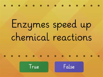 Enzymes True or False