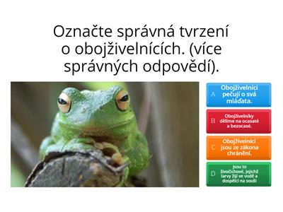 Obojživelníci - charakteristika