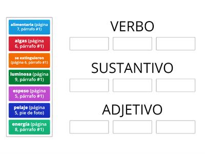 Cadenas alimentaria o Redes tróficas (II) – ¡categoría gramatical! 