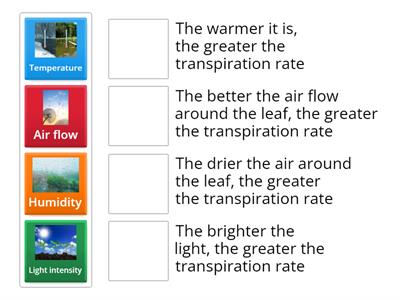 Factors Affecting Transpiration