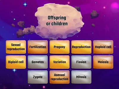 Reproduction Terminology