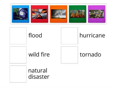 FH 4_File Hurricanes