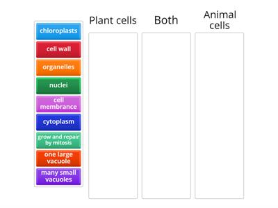 Plant & Animal Cells Comparison
