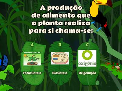 ALIMENTAÇÃO DAS PLANTAS 