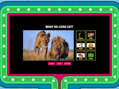 Animals and their food quiz