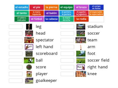 Capitulo 7.1 Vocabulario: El Futbol Match Up Sheet
