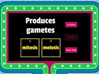 Mitosis vs Meiosis 