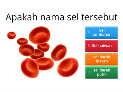 Quiz biologi