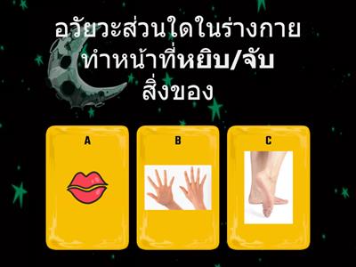 ร่างกายของเรา