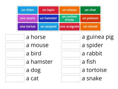 S1 French - pets 