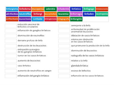 Terminogía del sistema linfatico