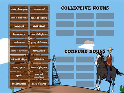 COLLECTIVE and COMPOUND NOUNS