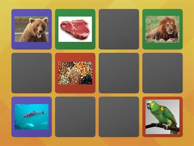 ANIMALS - What do they eat (2nd level - MEMORY)