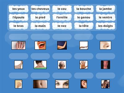 Parts of the body French
