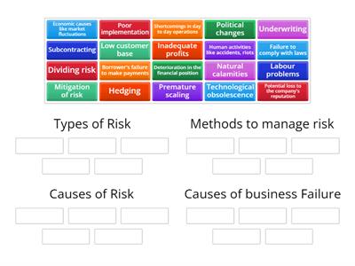 Business Causes and Failure