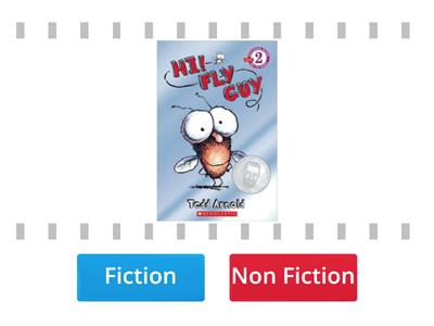 Fiction or Nonfiction Sort