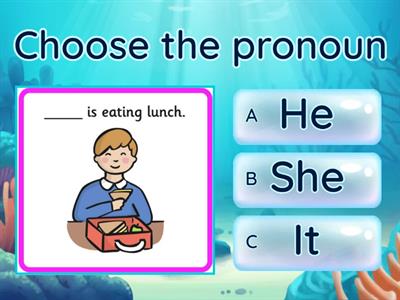 2nd Personal Pronouns