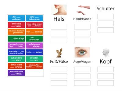 Redewendungen zum Thema Körper: Um welchen Körperteil geht es jeweils? Ordnen Sie zu.