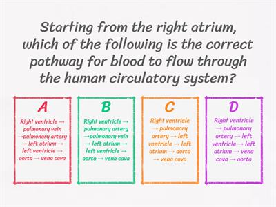 HOTS: RESPIRATORY and CIRCULATORY SYSTEMS