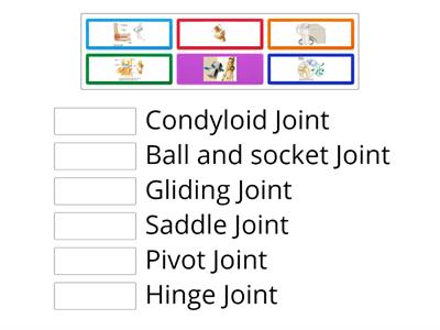 C02. Skeletal. Sys. (7a) Joint Types