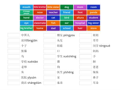 answer Chinese vocabulary part 2