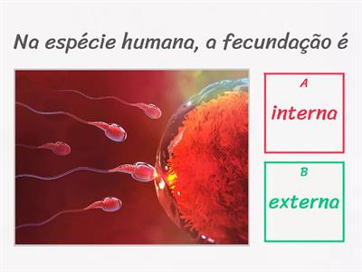 Reposta sexual e fecundação