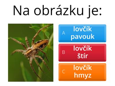  poznávání členovci