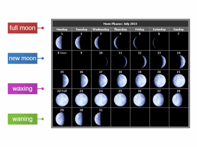 Basic phases of the moon