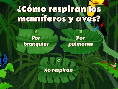 Características de vertebrados: mamíferos y aves