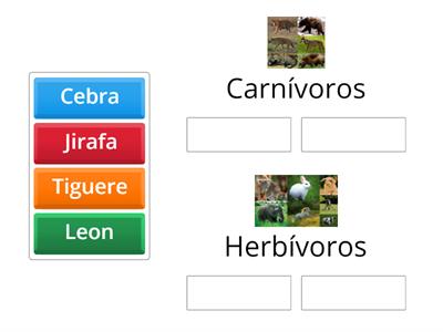 Herbívoros Y Carnívoros.