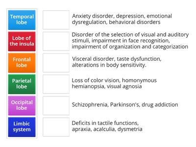 CORTICAL DISORDERS OF THE BRAIN LOBES