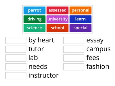 Laser B2 education vocabulary / collocations