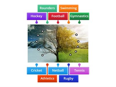 UK school sports