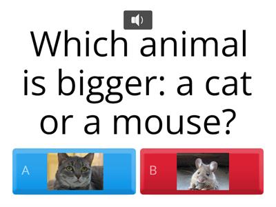  Which animal is bigger?