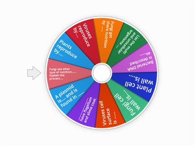 CAX KS4 Variety of life wheel spin 