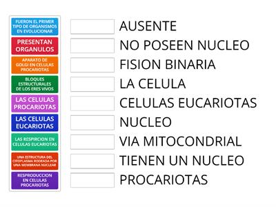 CELULAS PROCARIOTAS Y EUCARIOTAS