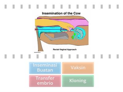 Penerapan bioteknologi pada dunia peternakan