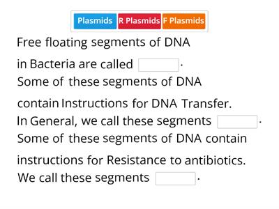 Bacteria Gene Trasnfer