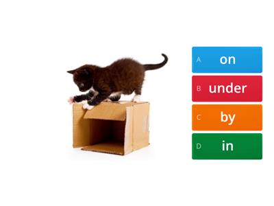 Prepositions in, on, under, by